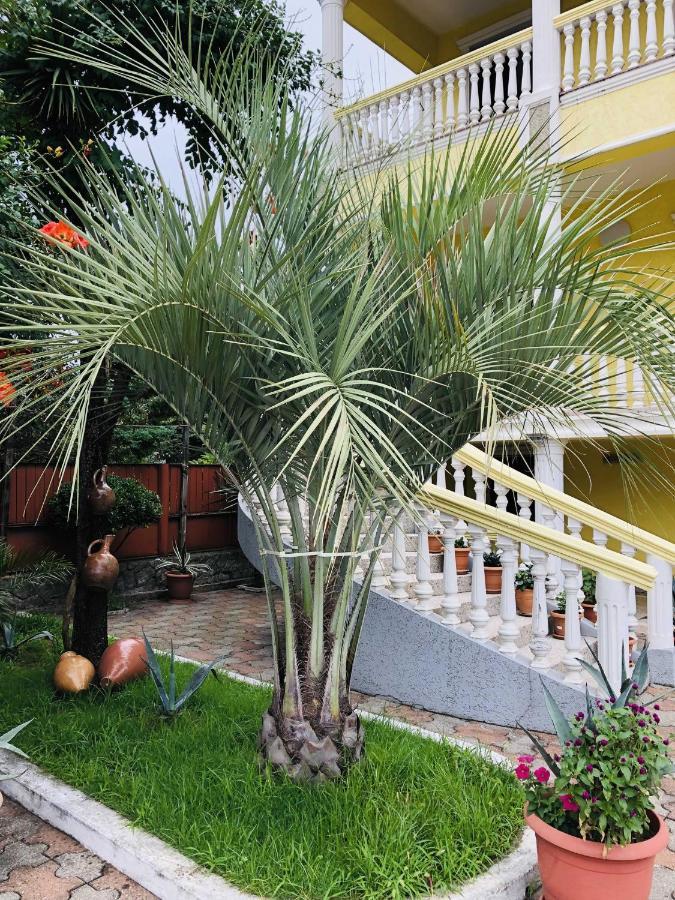 فندق George'S House كوبوليتي المظهر الخارجي الصورة